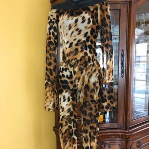 GLAM!! Animal print 2 piece sheer set!